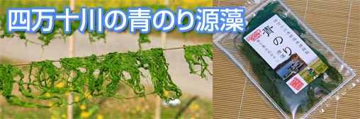 四万十川の青のり