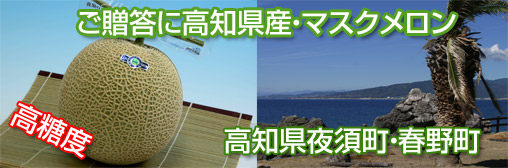 夜須町エメラルドメロン