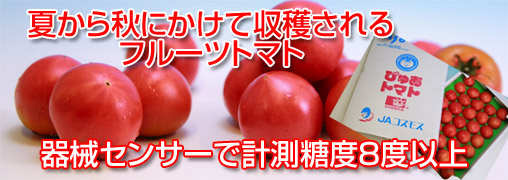 ぴゅあトマト
