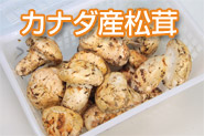 �J�i�_�Y�A������