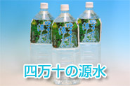 �l���\�̌���