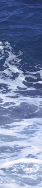 桂浜の海水