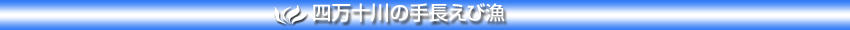 �l���\��̎蒷���ы�