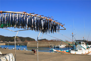 �V�������ނ肤���