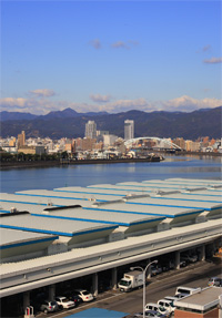 高知市中央市場