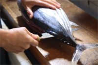 尻尾から切る