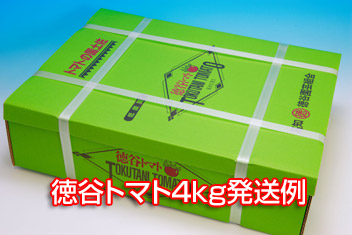 �S���������`��