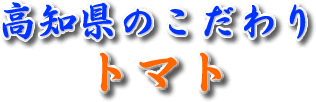 �g�}�g�̃y�[�W����z�[����
