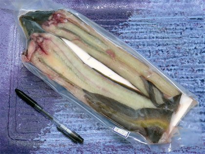 天然うなぎ2尾で278g