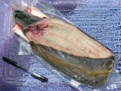 天然うなぎ1尾で415g