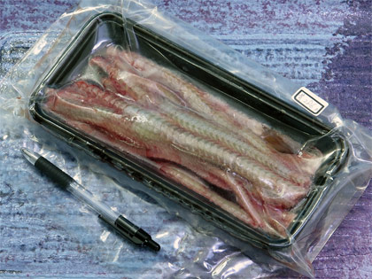 天然うなぎの骨286g