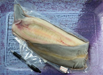天然うなぎ通販・高知県の仁淀川で獲っています。
