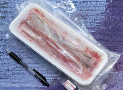 天然うなぎの骨202g