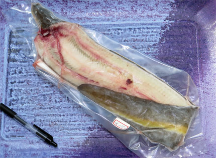 天然うなぎ1尾で375g