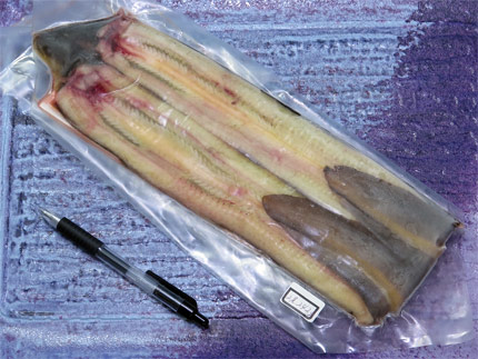 天然うなぎ2尾で242g