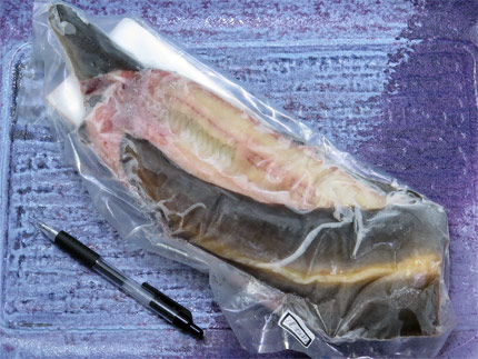 天然うなぎ1尾で528g