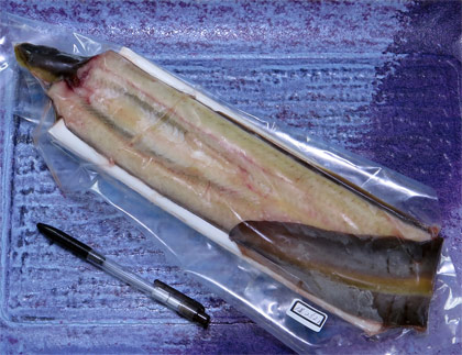 天然うなぎ1尾で252g
