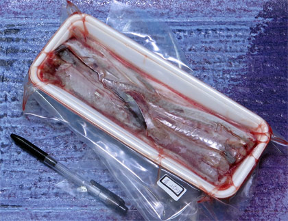 天然うなぎの骨254g