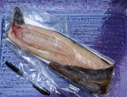 天然うなぎ1尾で276g