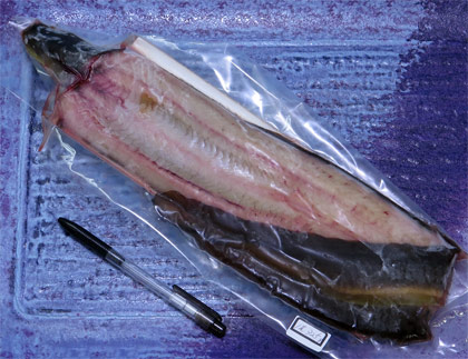 天然うなぎ1尾で325g