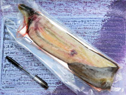 天然うなぎ1尾で236g