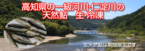 仁淀川の天然鮎通販