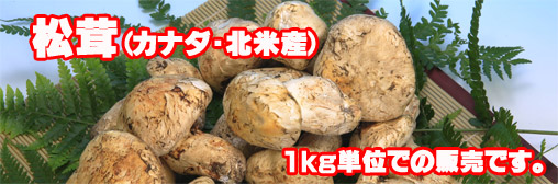 四万十川の青のり通販
