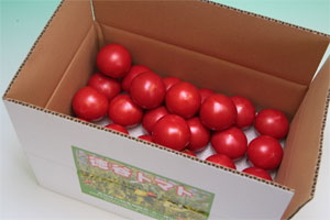 徳谷トマトの通常品約2Kg