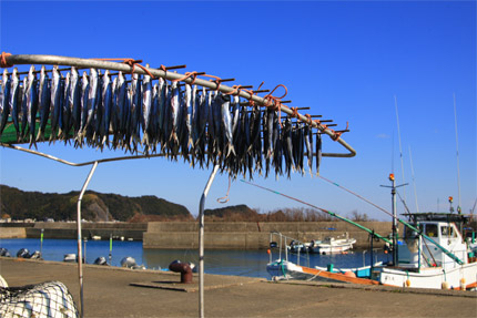 天日干し釣りうるめ