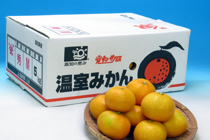 温室山北みかんMサイズ5kg