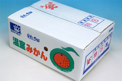 ハウス栽培温室山北みかんSサイズ5kg